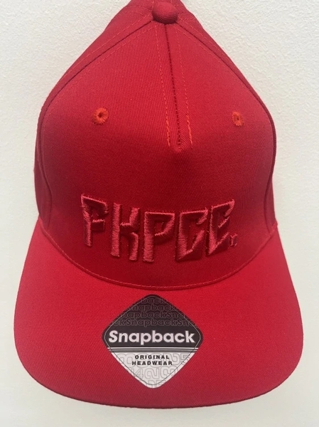 _vyr_293_snapback